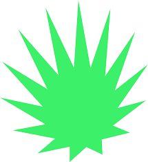 Forpro Express